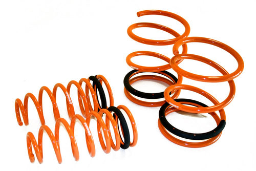 Coilover Lowering Spring Megan Racing MR-LS-MG99
