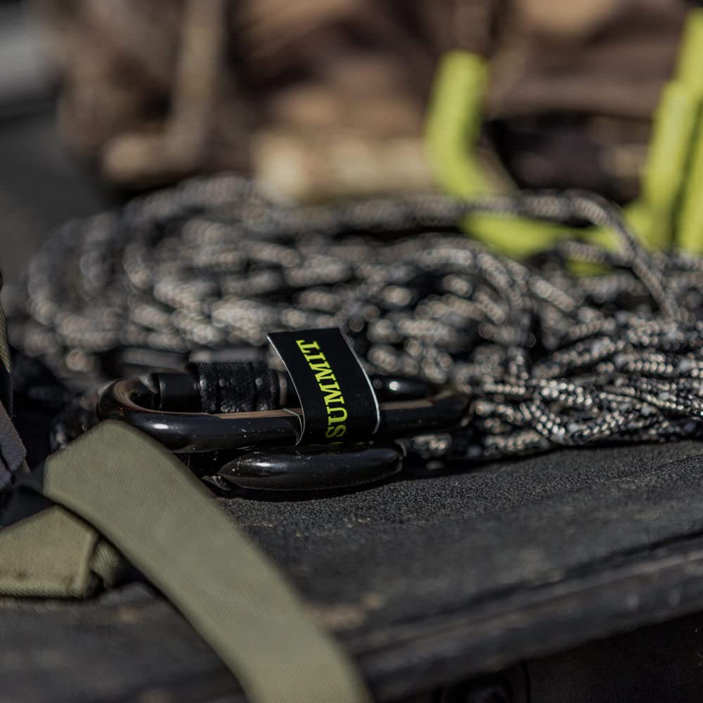 Locking Summit Carabiner, 1-Pack