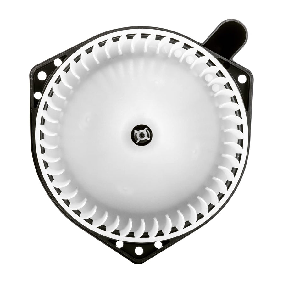 Blower Assembly TYC 700187