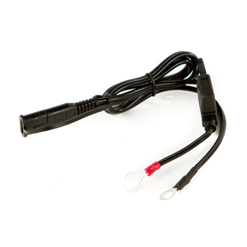 Ring Terminal Harness WirthCo 20075 (with Bullet Style Quick Connect), 1 Pack