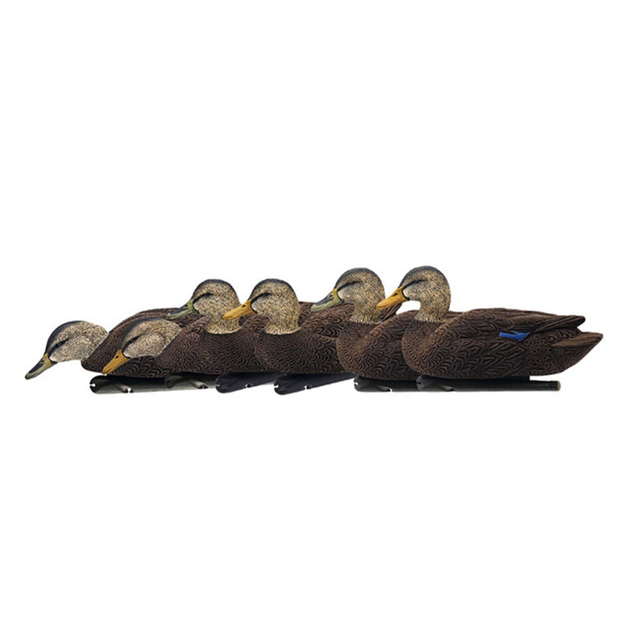 Black Duck Decoys Topflight: Realistic, Durable, and Motion-Activated Flocking (6 True-to-Life Postures)