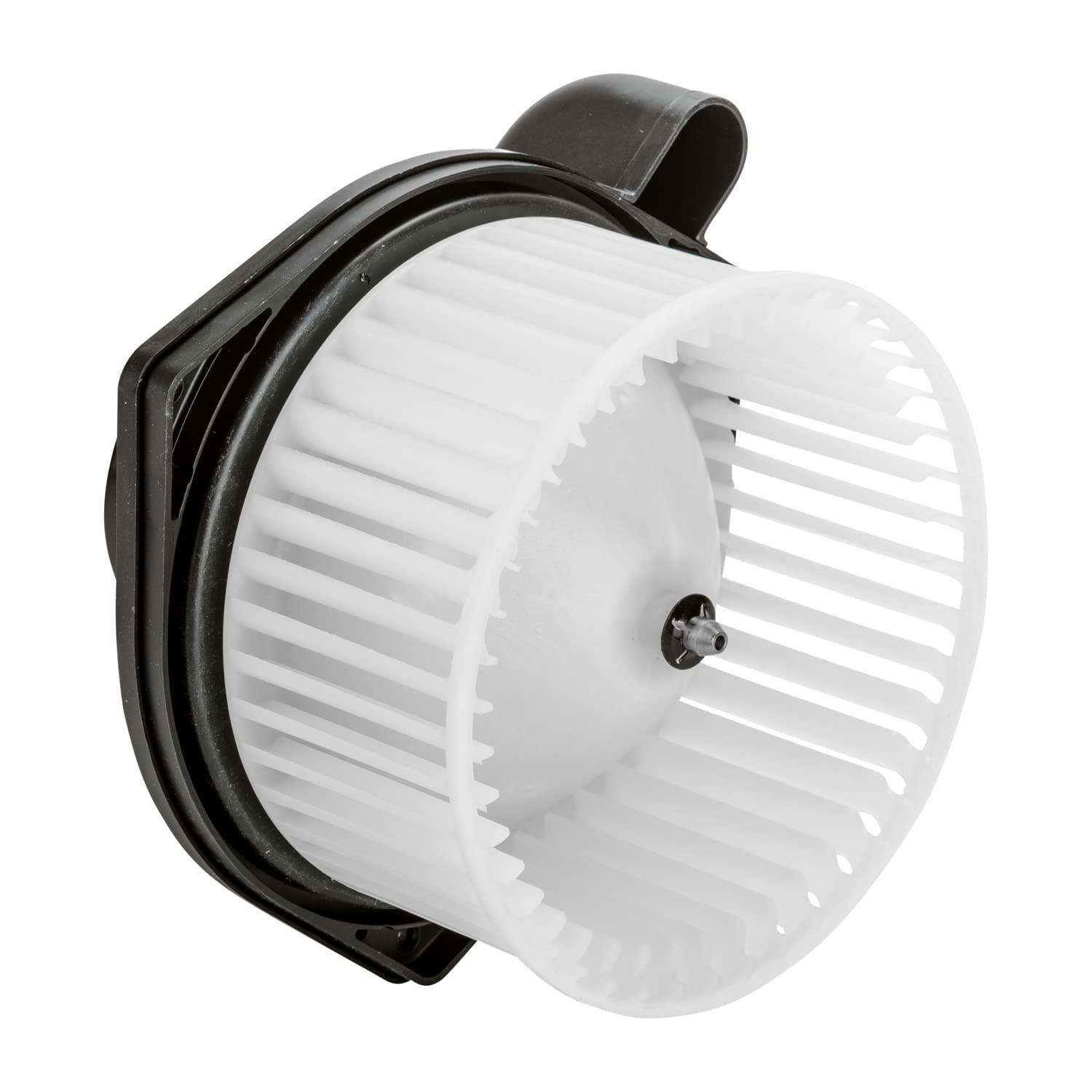 Blower Assembly TYC 700187