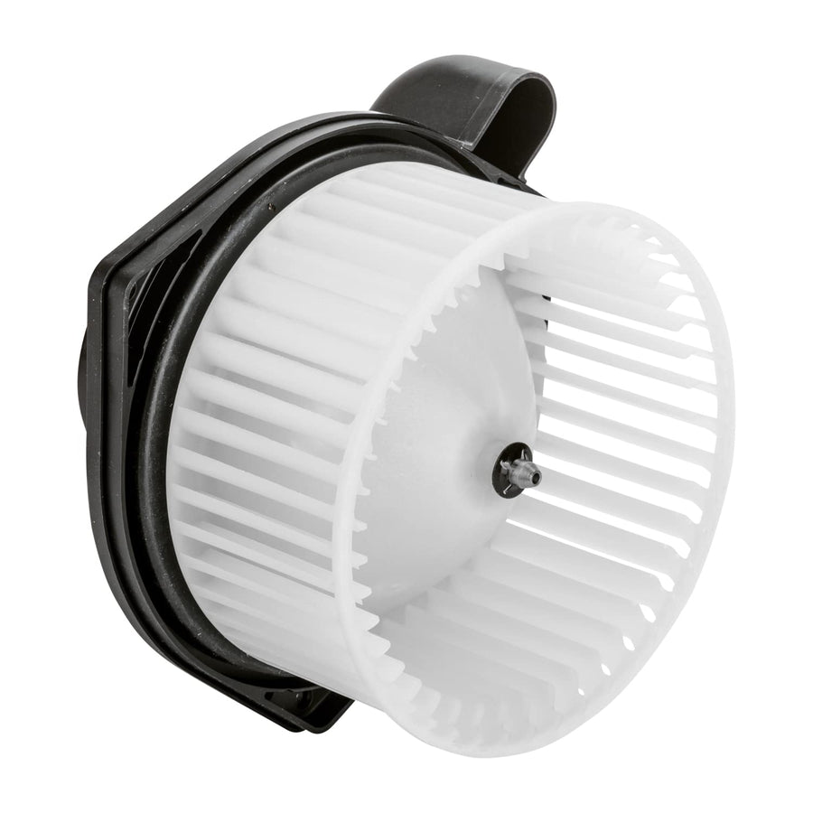 Blower Assembly TYC 700187