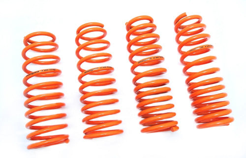 Coilover Lowering Spring Megan Racing MR-LS-MG94