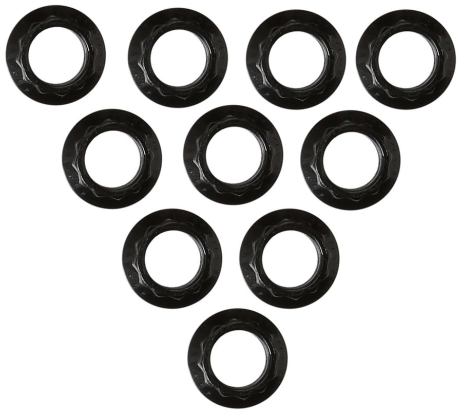 ARP 12-Point Stainless Steel 300-8334 Nuts - Pack of 10