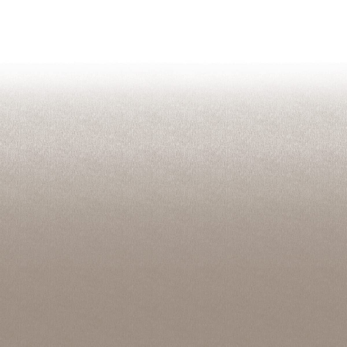 Lippert Solera RV Awning Roller and Fabric Assembly 21' White/Sand V000266033