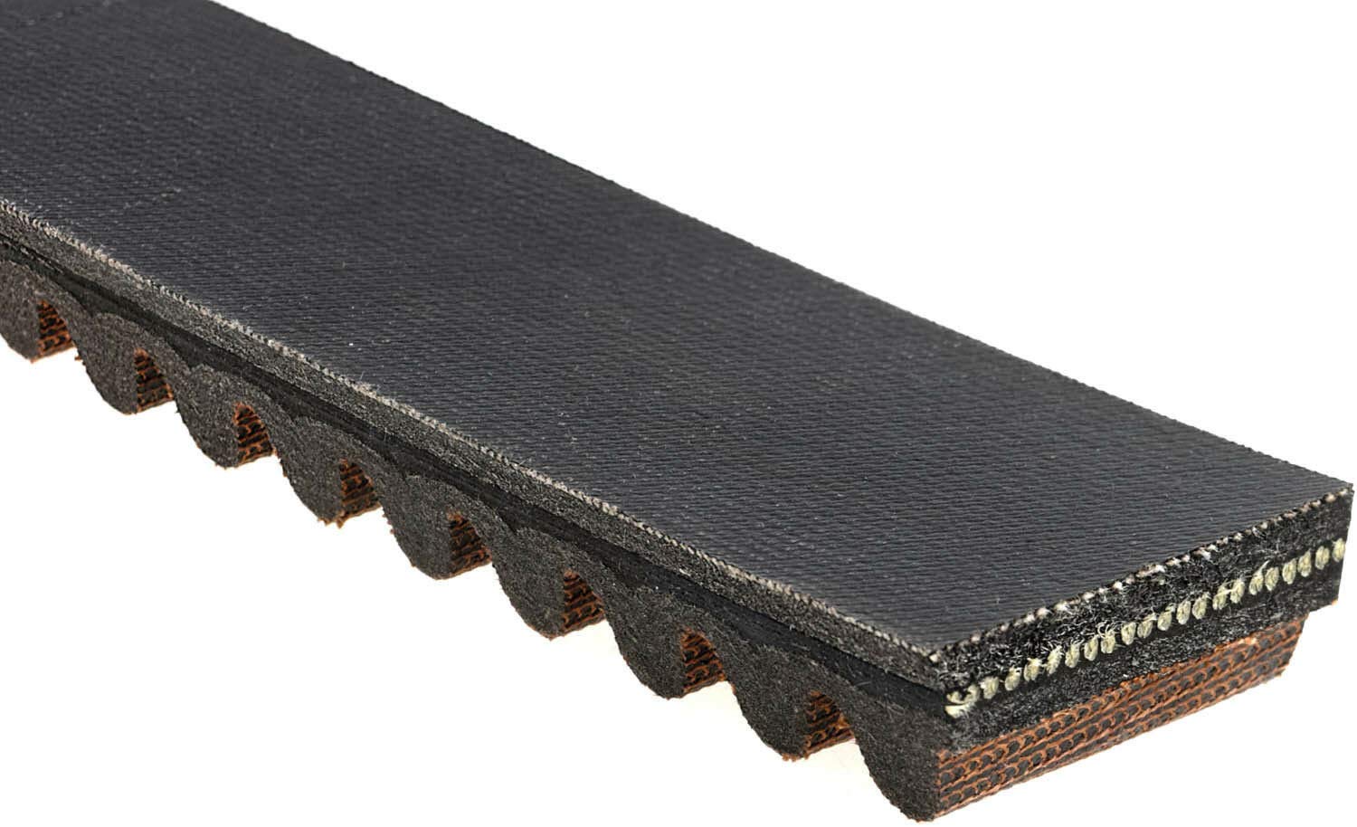 Recreational Vehicle Sportline Belt
