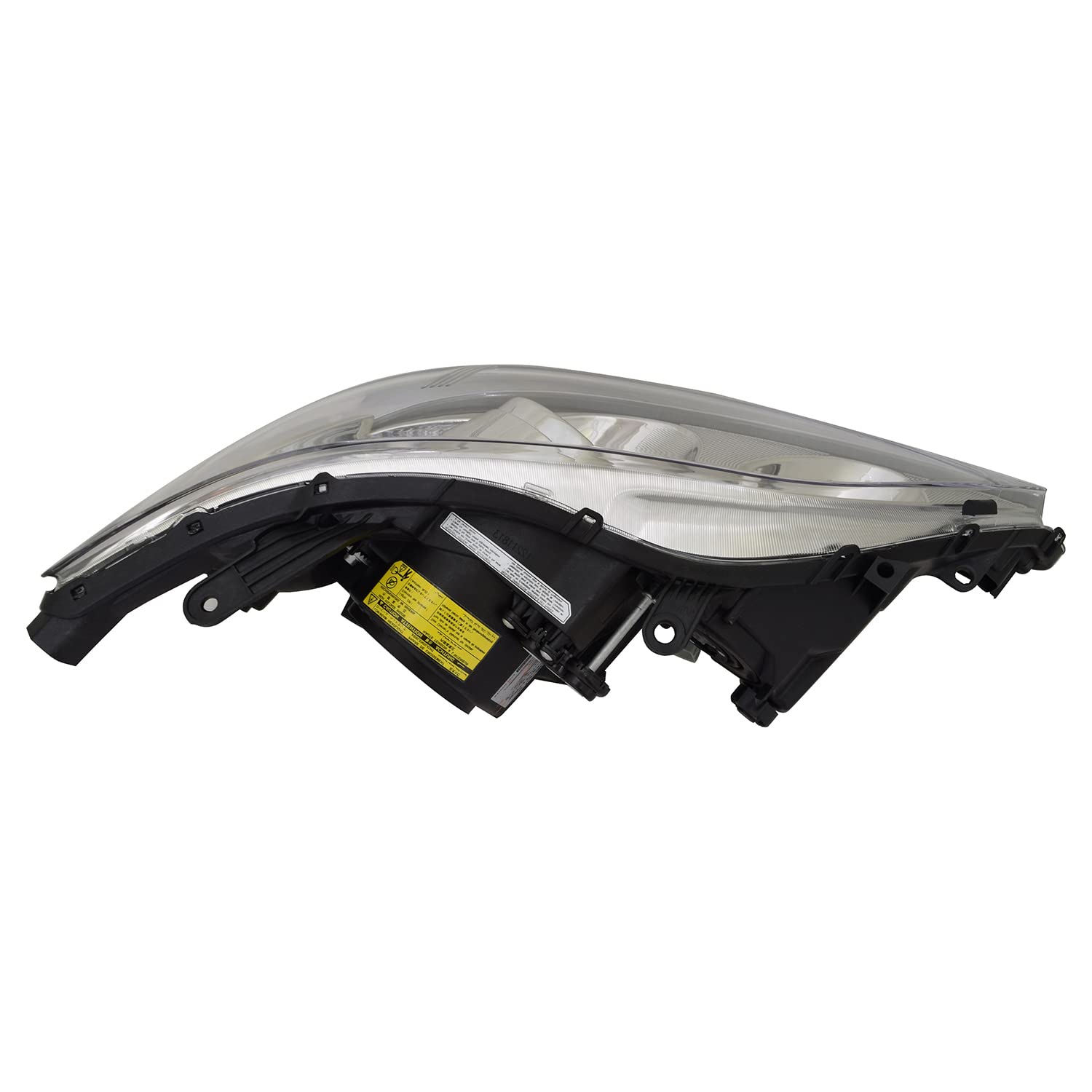 Head TYC Lamp