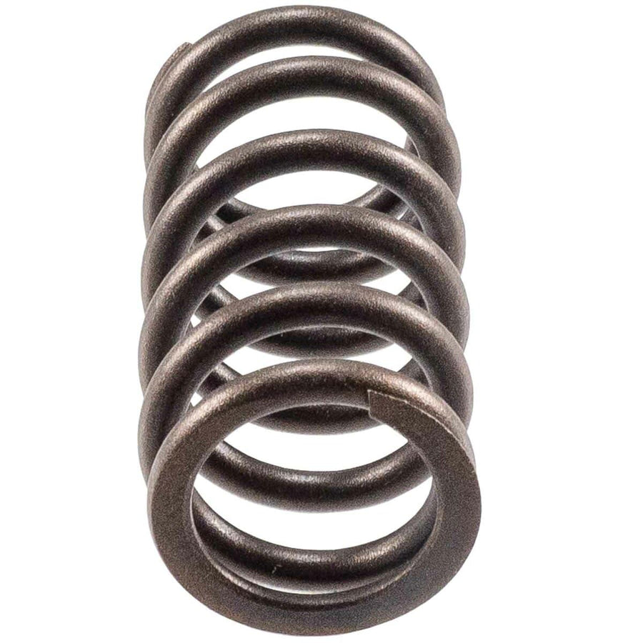 Engine Valve Spring Melling 466164, Pack of 4