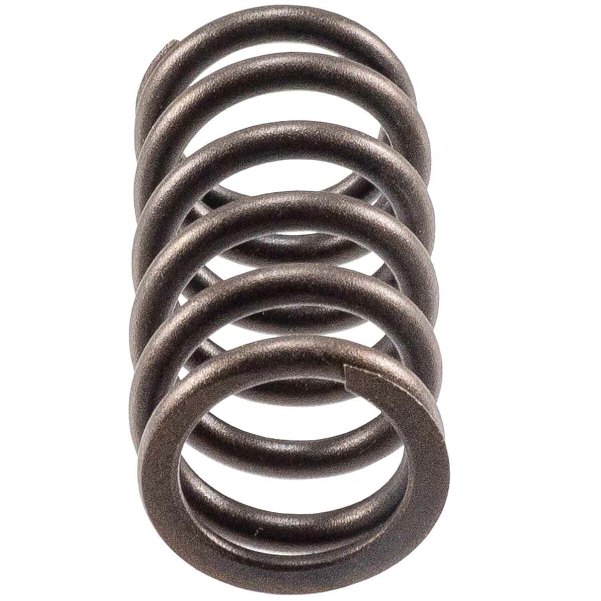 Engine Valve Spring Melling 466164, Pack of 4