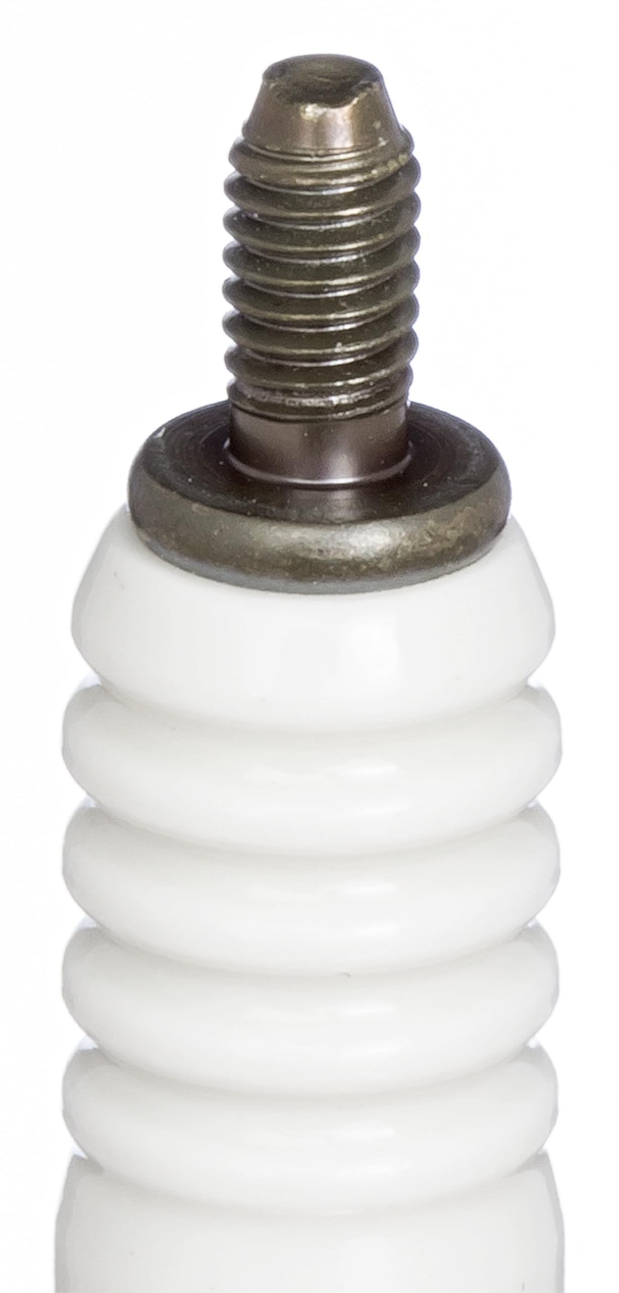 Standard NGK Plug