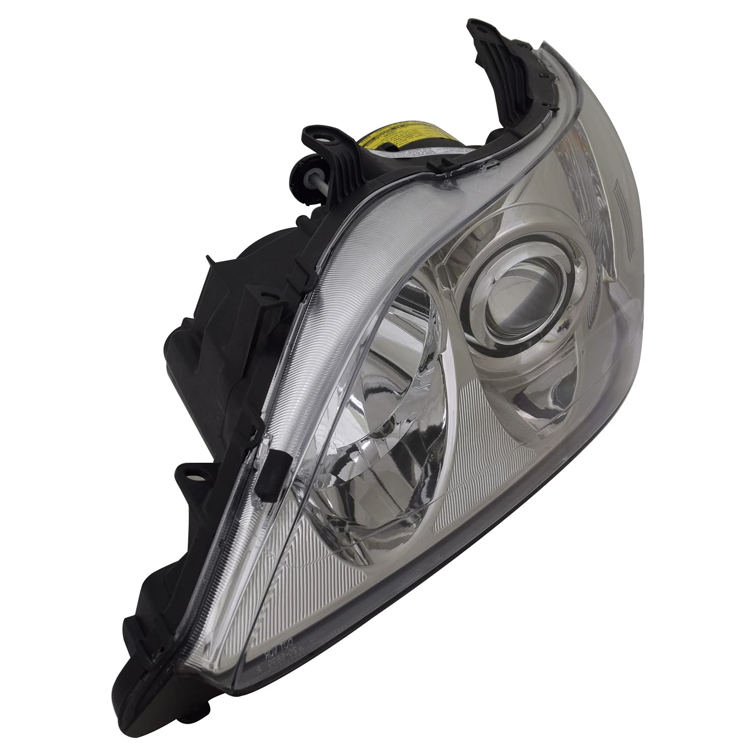 Head TYC Lamp