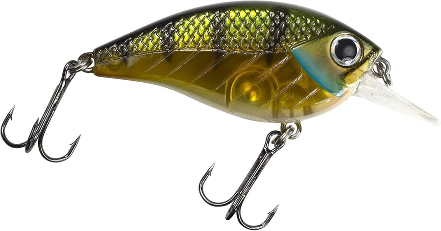 Impact Jolt Lunkerhunt | Crankbait, Deep Diving Hard Bait Fishing Lure | Flat Sided Square Bill, Clear Water, Fresh Water Lure for Bass Fishing, Trout and Spike, Crappie
