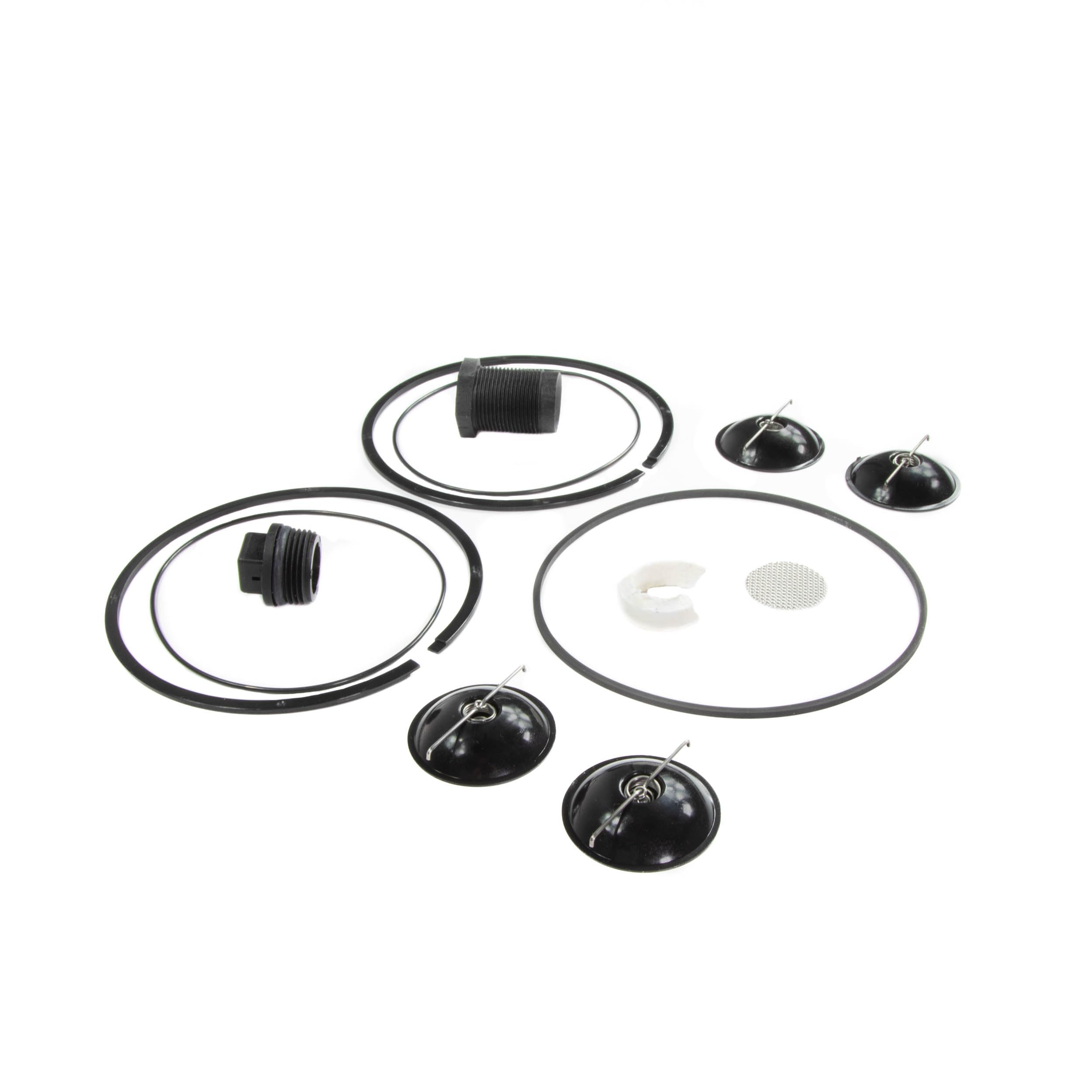Repair Kit Fill-Rite 5200KTF1828 for 5200 Series Piston Hand Pumps
