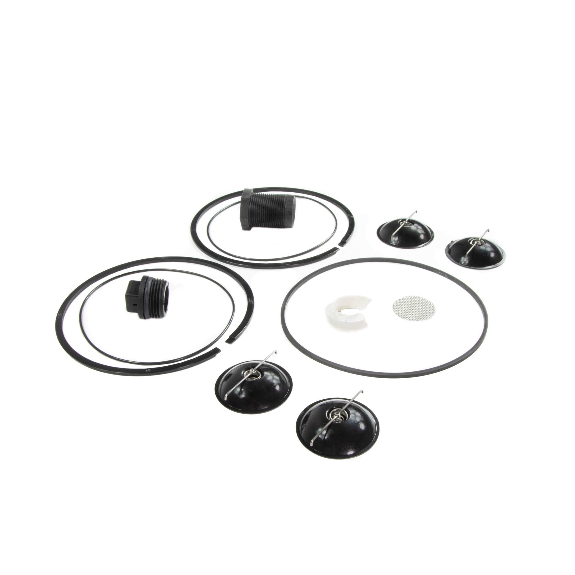 Repair Kit Fill-Rite 5200KTF1828 for 5200 Series Piston Hand Pumps