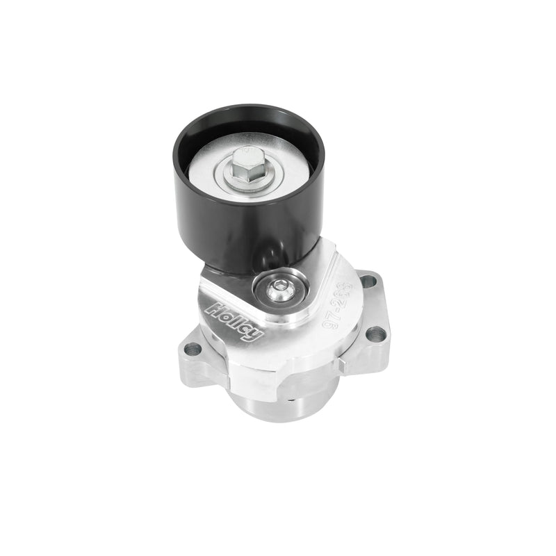 Power Steering Holley 20-233 Add-on System for LT5