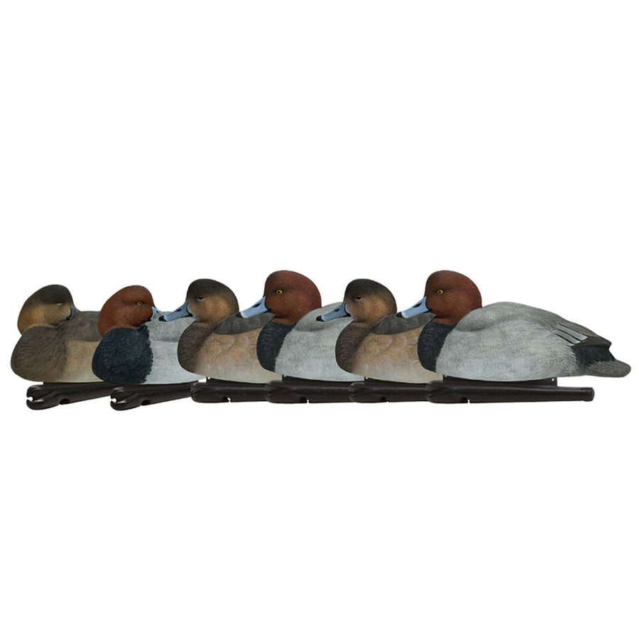 Avian-X Canvasback Magnum Decoys, Open Water, Realistic Design, Weight Forward Swim Keel, Rugged with No Flake Paint Finish, True to Life Postures