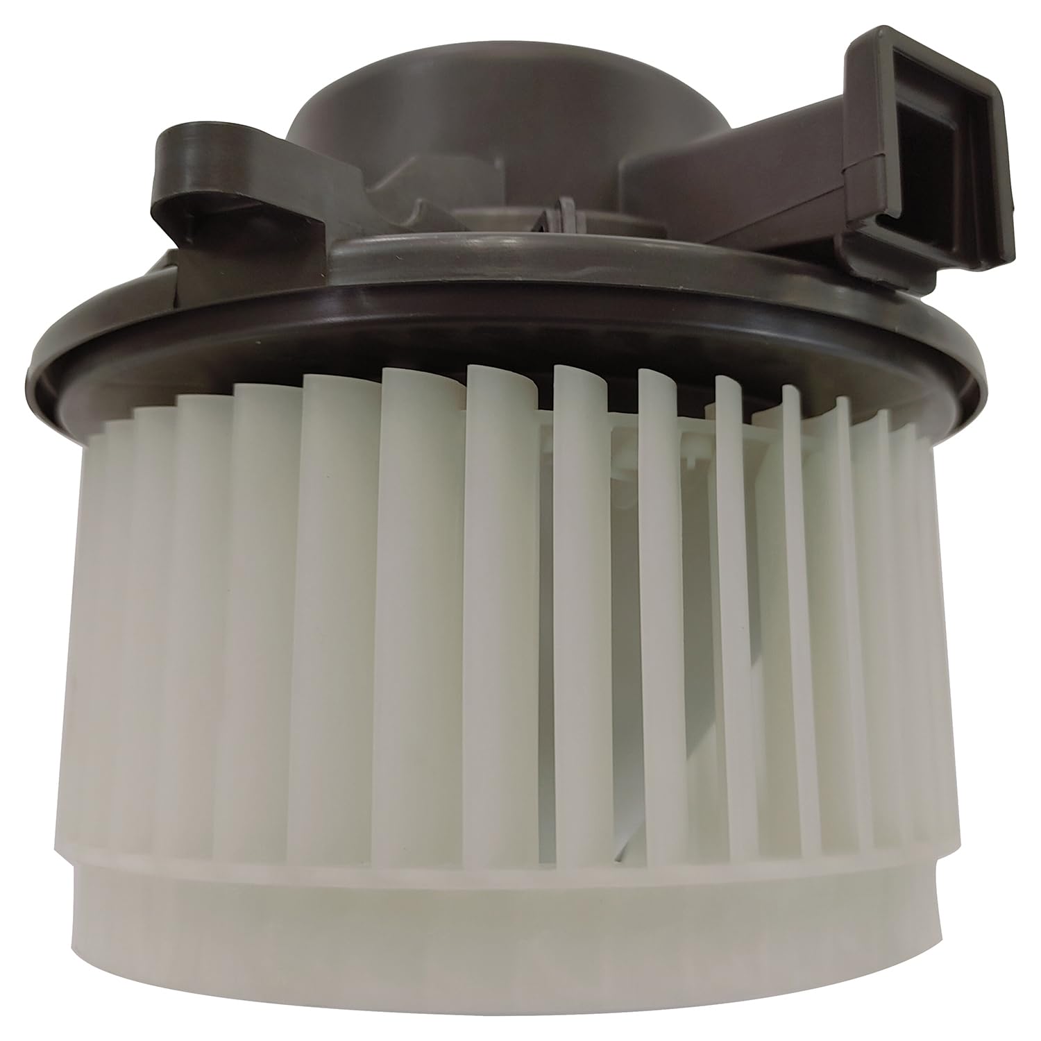 Blower Assembly TYC 700363