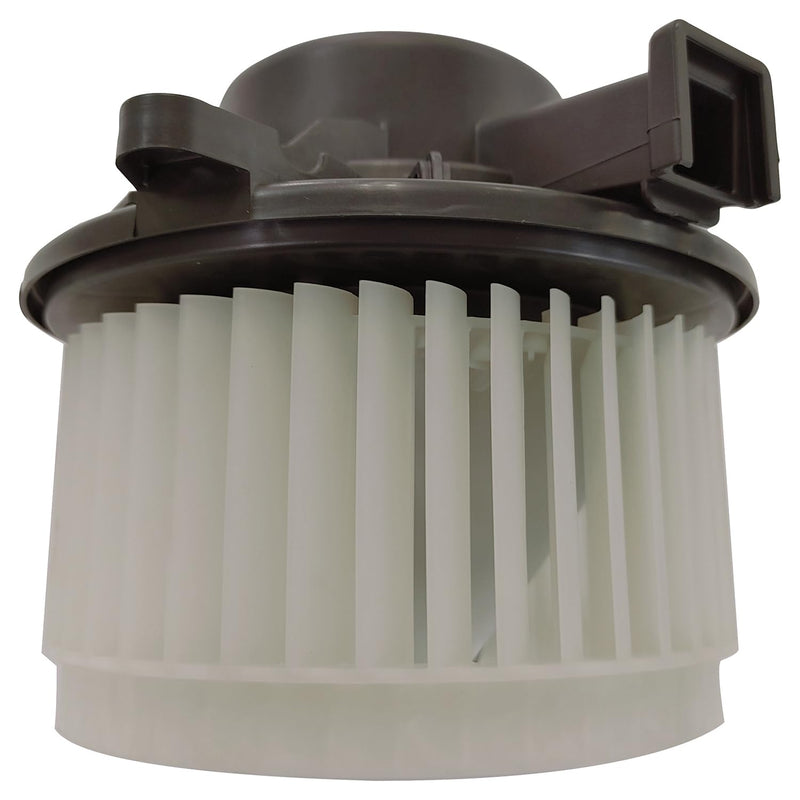 Blower Assembly TYC 700363