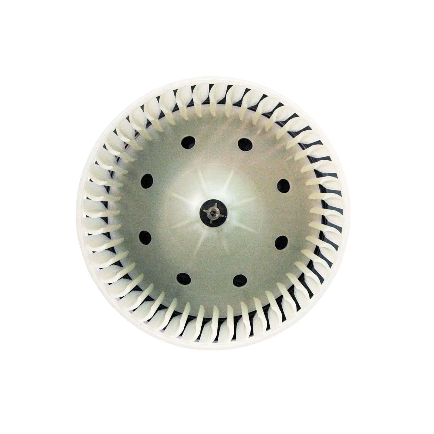 Ford TYC 700099 Replacement Blower Assembly