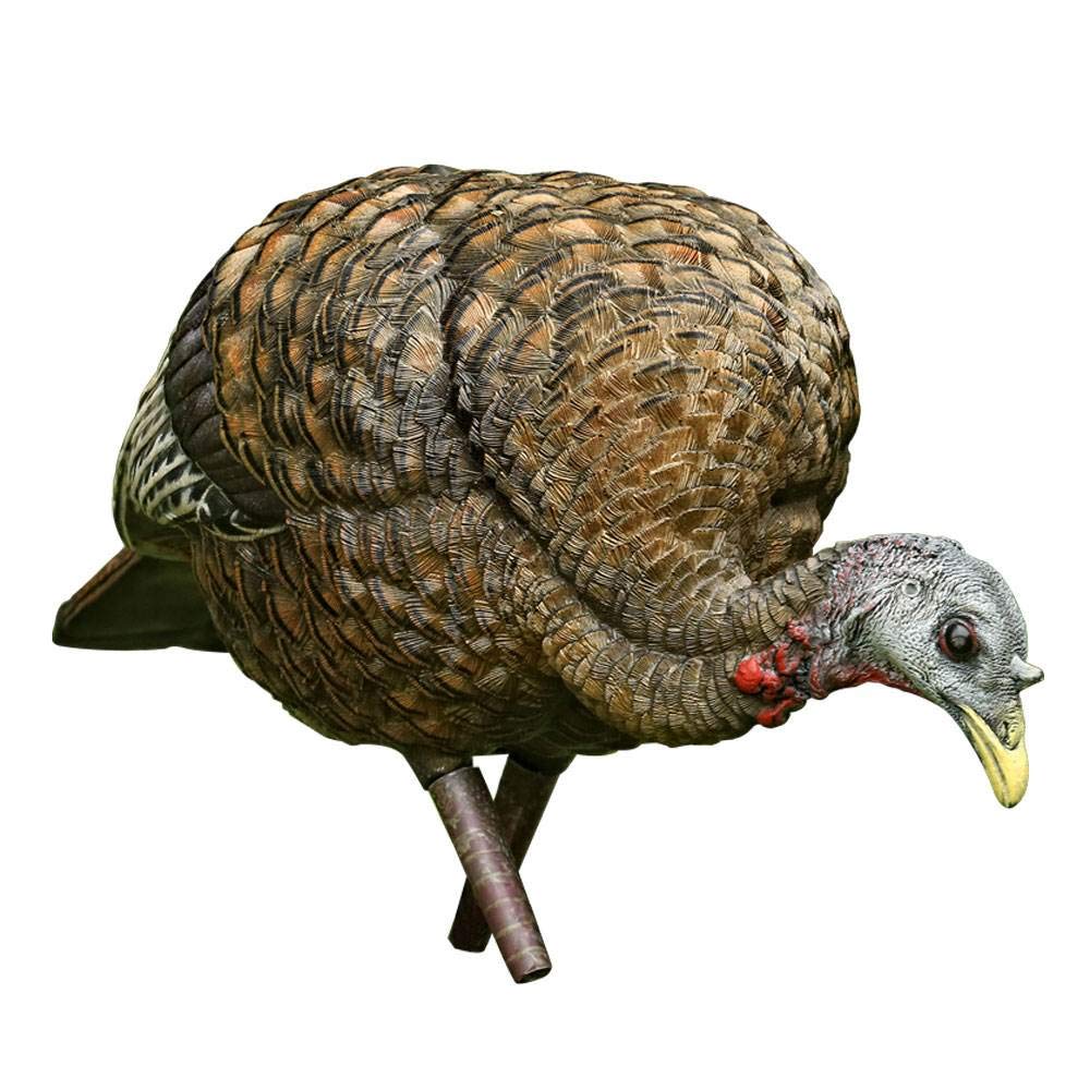 AVIAN-X Feeder LCD Turkey Hen Decoy | Durable Realistic Lifelike Collapsible Standing Hunting Decoy with Carry Bag & Stake, AVX8007