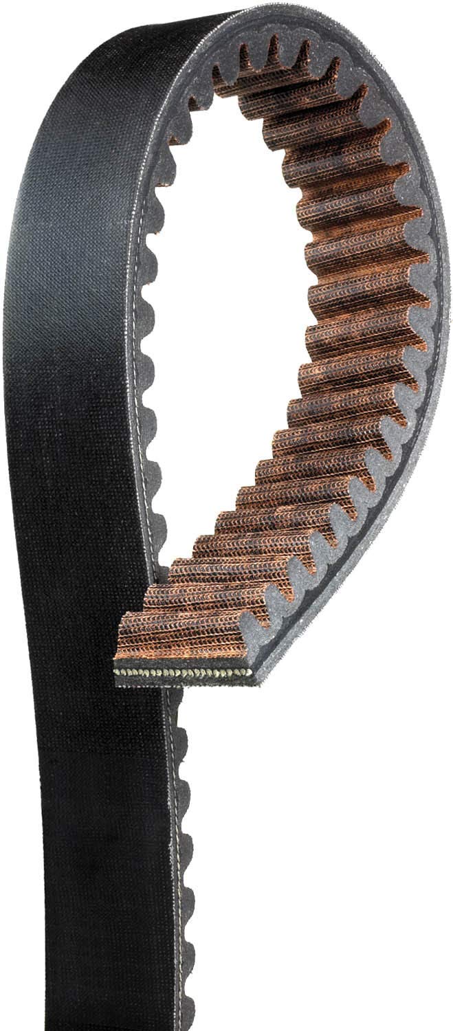 Belt Gates