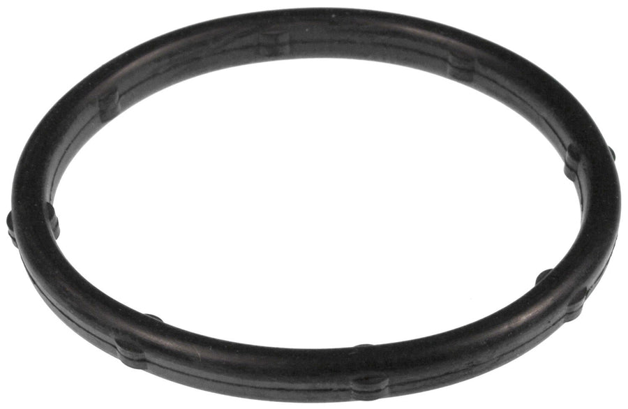 Gasket Water Outlet
