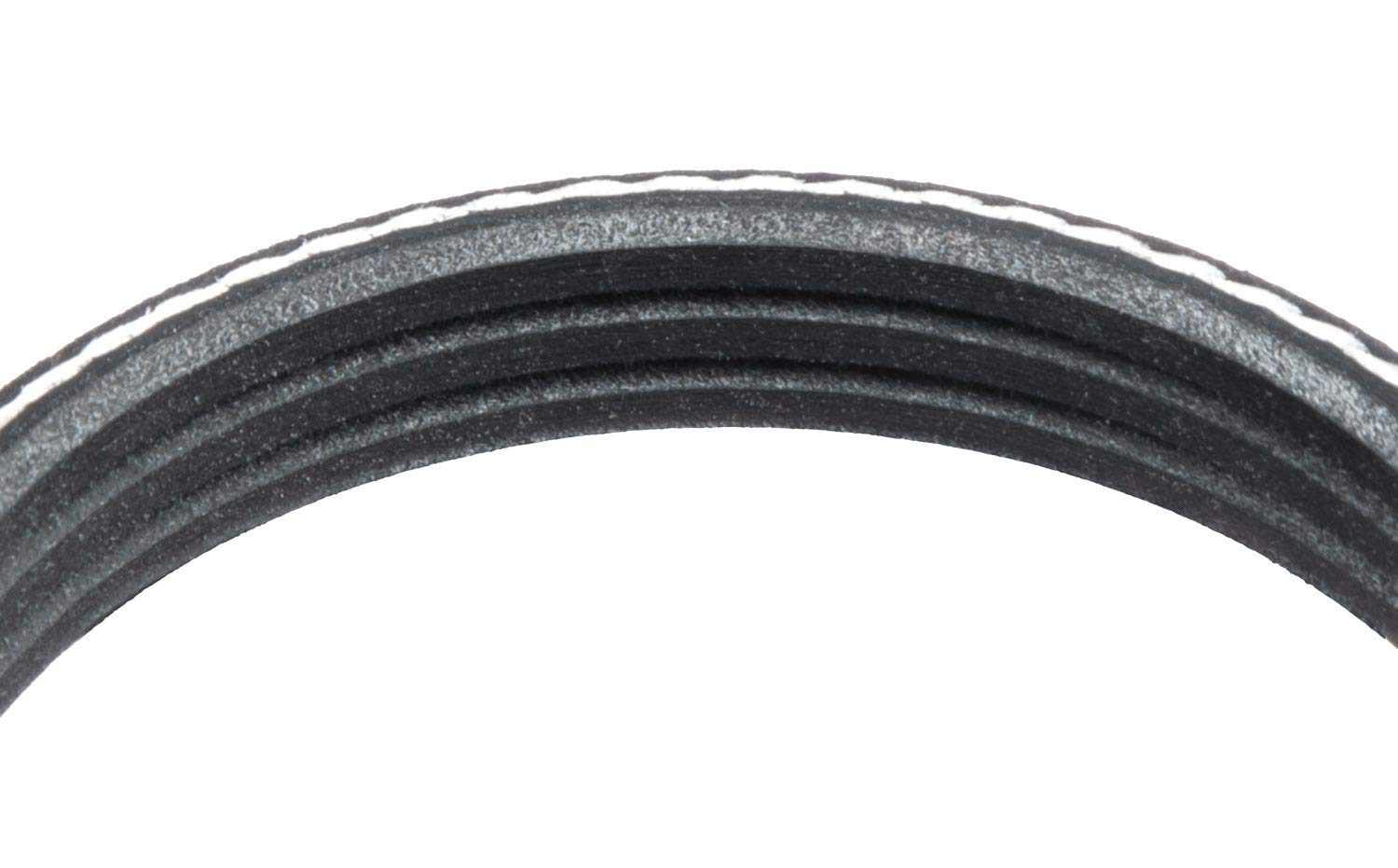 Standard Multi V-Belt Goodyear Belts 1030323