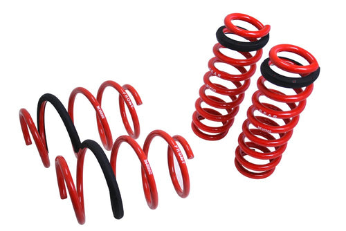 Coilover Lowering Spring Megan Racing MR-LS-BF30