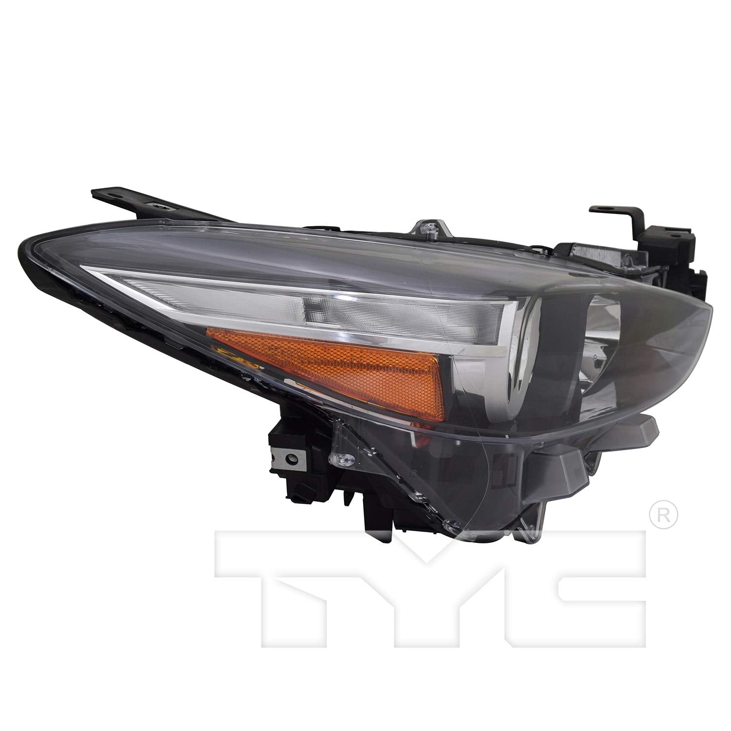 Head TYC Lamp