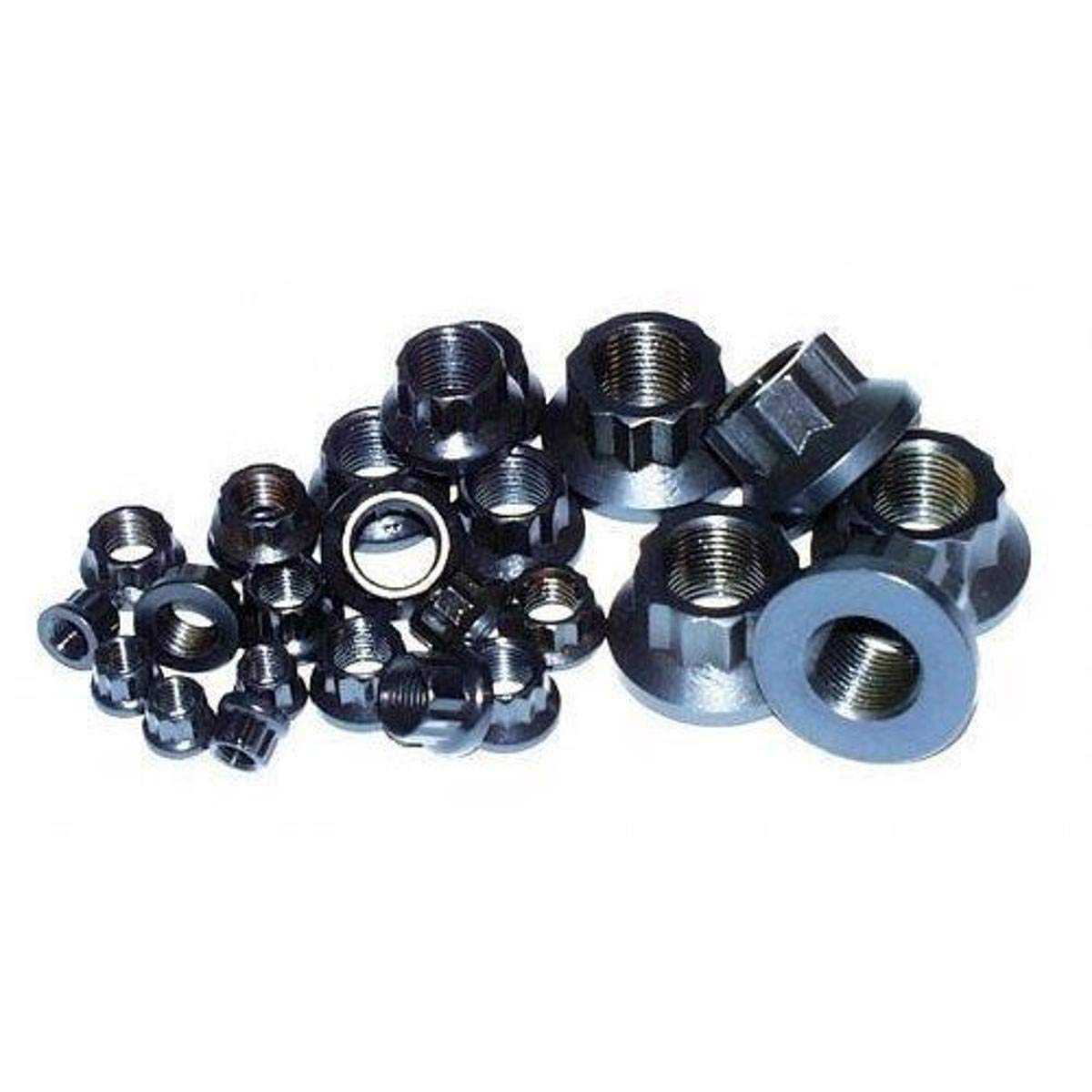 ARP 3008333 12-Point Nuts Stainless Steel - Pack of 10