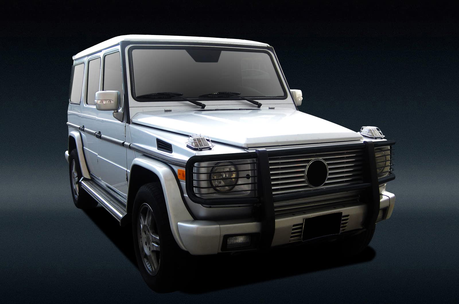 Grille Brush Black Horse Bumper Guard Modular Compatible with 2003-2010 Mercedes-Benz G55 AMG|1999-2010 Mercedes-Benz G500-PGBZA008A