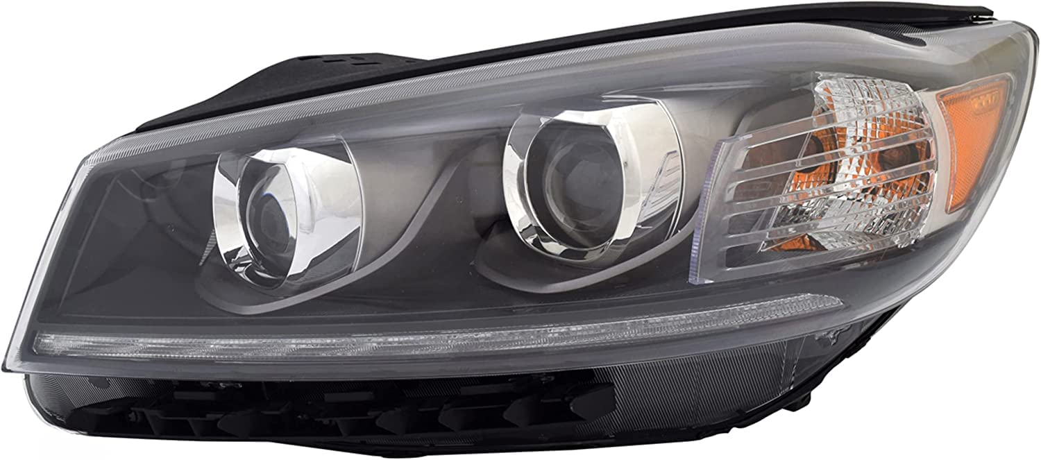 Head TYC Lamp