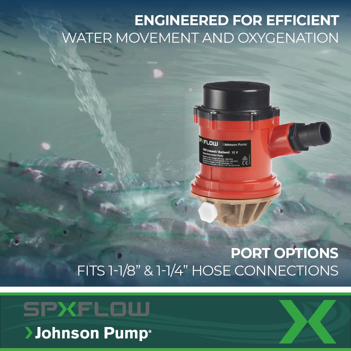 PRO Series Johnson Pumps 166004B 1600 GPH Livewell/Baitwell Aerating Pump, 12V (16004B), Bronze