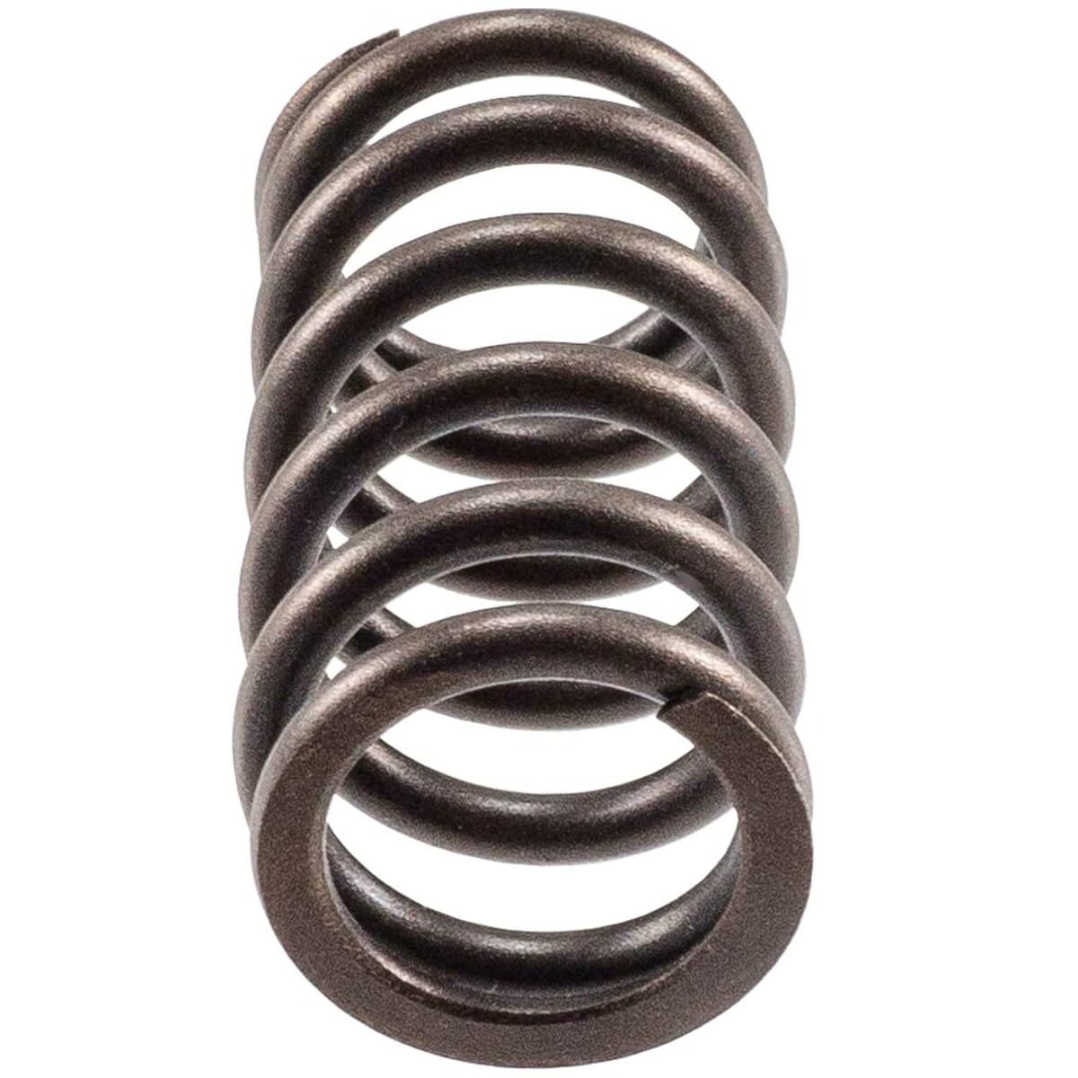 Engine Valve Spring Melling 466164, Pack of 4