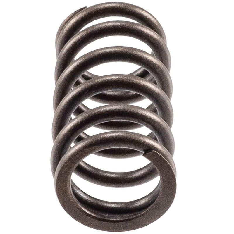 Engine Valve Spring Melling 466164, Pack of 4