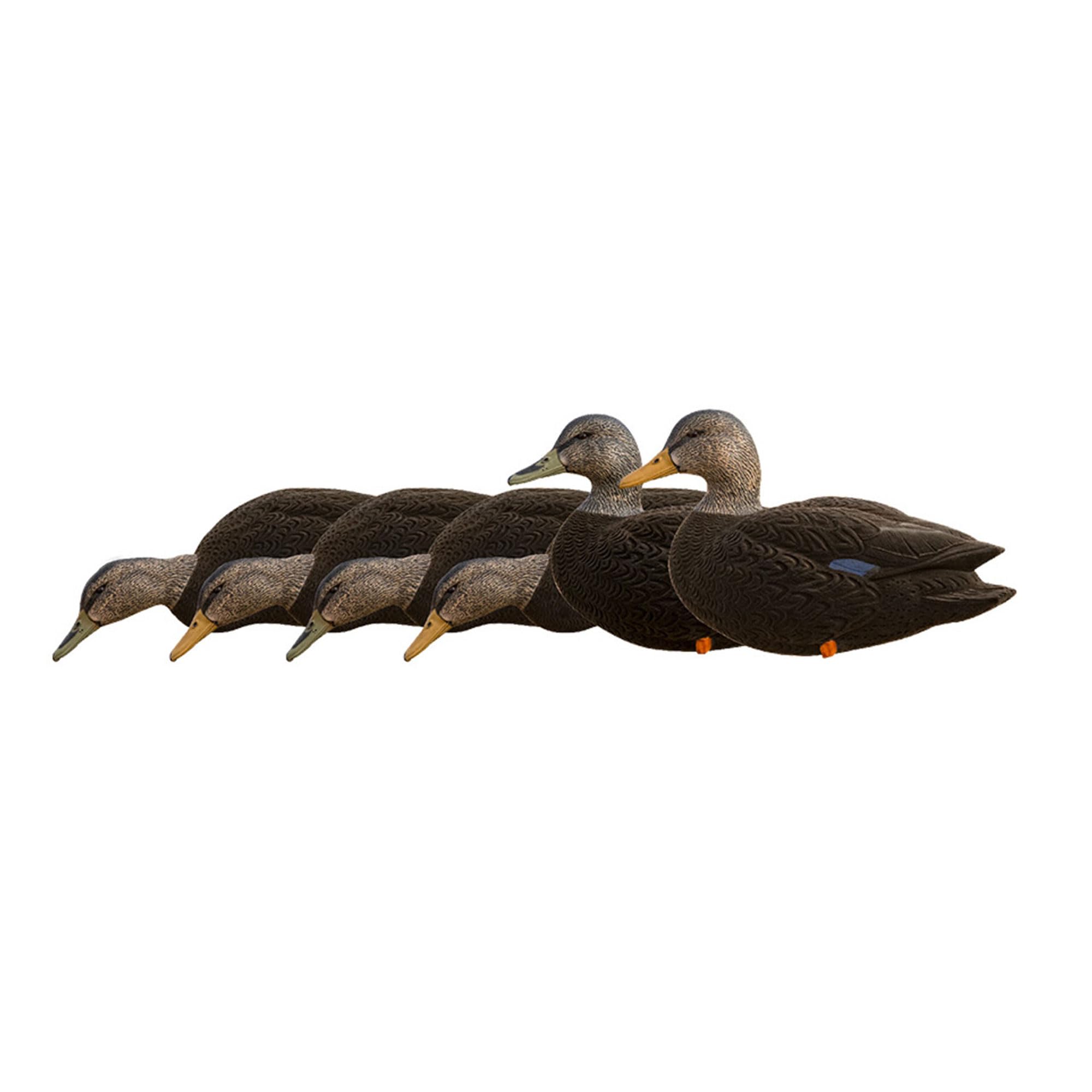 AXF Avian-X 6 Piece Flocked Full Body Black Ducks Fusion Pack with Rugged Durability and Custom Fitted Bag for Hunting Use, Outdoor Sports, and Recreation