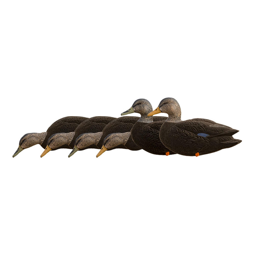 AXF Avian-X 6 Piece Flocked Full Body Black Ducks Fusion Pack with Rugged Durability and Custom Fitted Bag for Hunting Use, Outdoor Sports, and Recreation