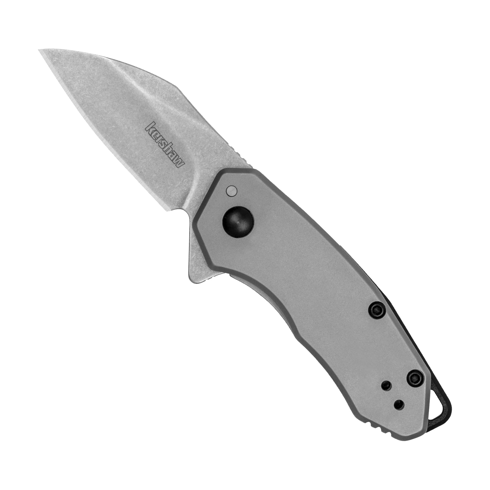 Kershaw Folding Rate Pocket Knife, Small Everyday Carry Knife with Assisted Opening, 8Cr13MoV Stainless Steel Blade, Pocketclip and Lanyard Hole,Grey
