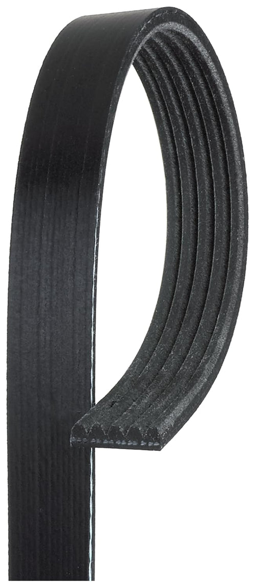 Premium Automotive V-Ribbed Belt nobrandname K050594