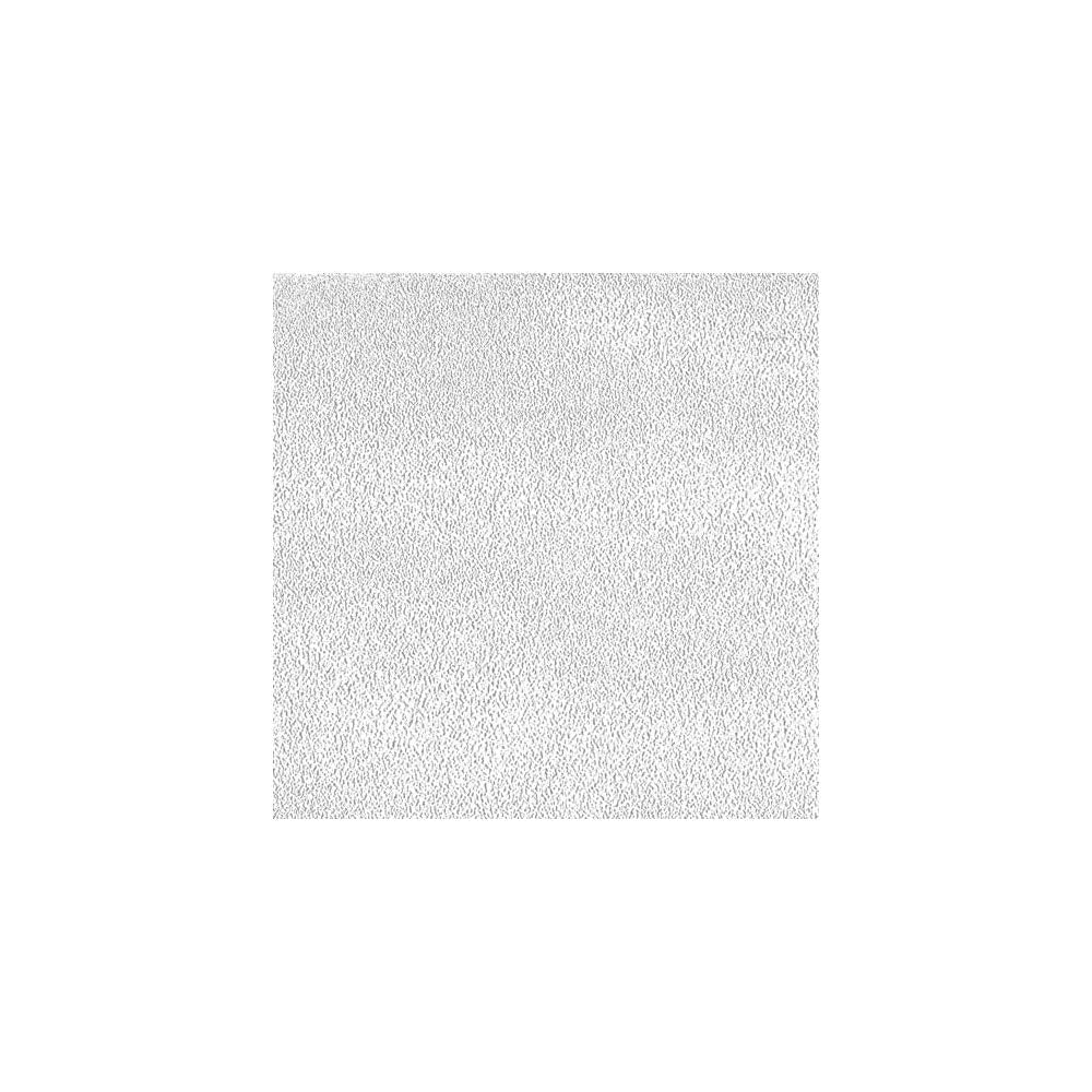 Clear Dupli-Color Trim and Rocker Guard, 14.5 oz
