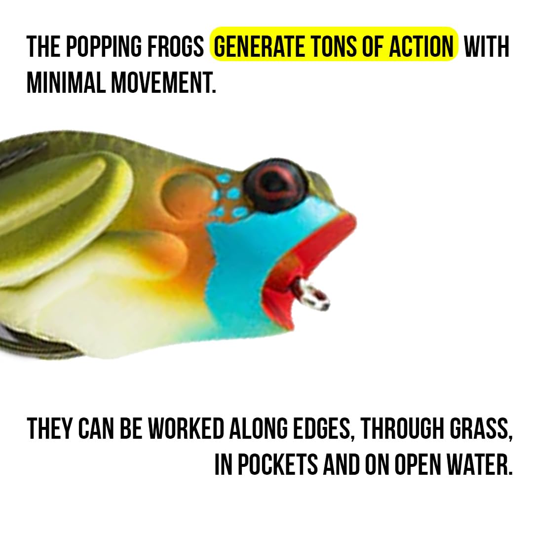 Frog Fishing Lure Lunkerhunt for Bass Fishing | Popping Frog 0.5 oz | Topwater Fishing Bait with Weedless Hooks, Hollow Body (Blue Gill)