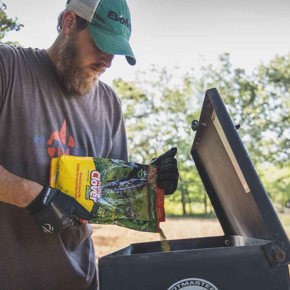 Clover Provide Evolved Harvest with Chicory Food Plot for Deer - Year-Round High Protein Forage, 4 Lbs.
