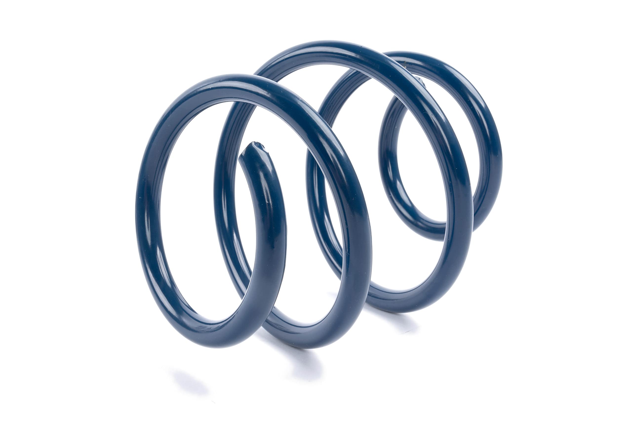 Dinan Performance D100-0937 Coil Spring Set