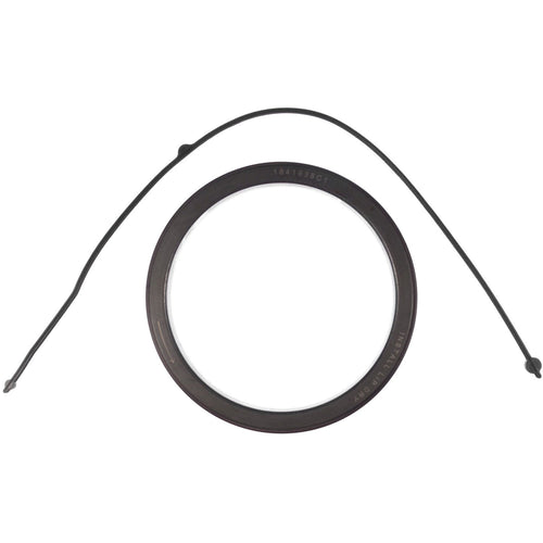 Main Seal Set Mahle - JV1730