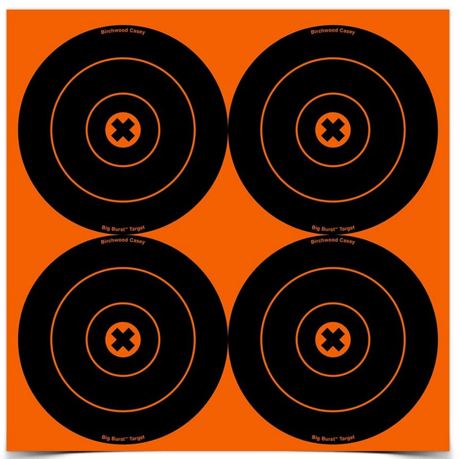 Birchwood Casey 6-Inch Big Burst Bull's-Eye, 12 - 6-Inch Revealing Targets