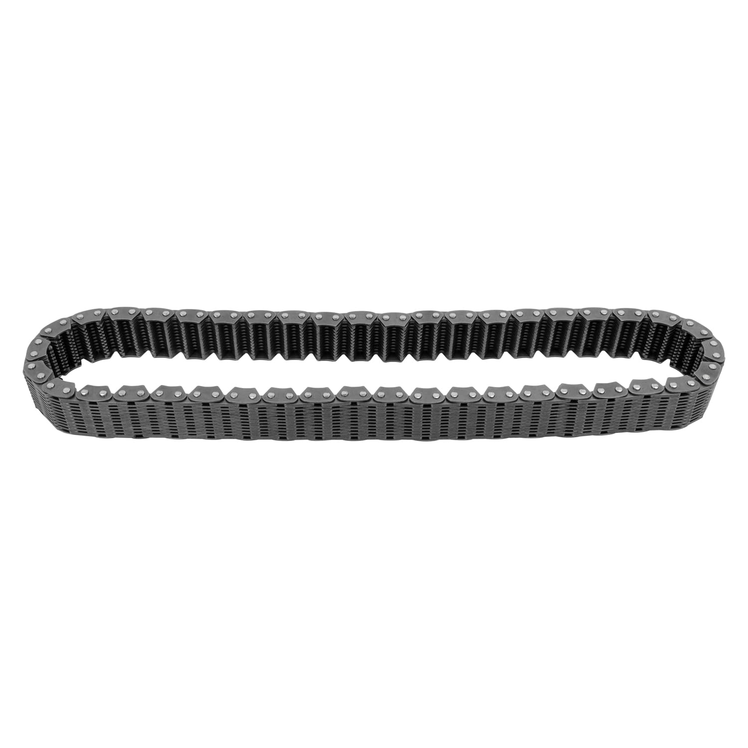 BW4407 Transfer Case Chain