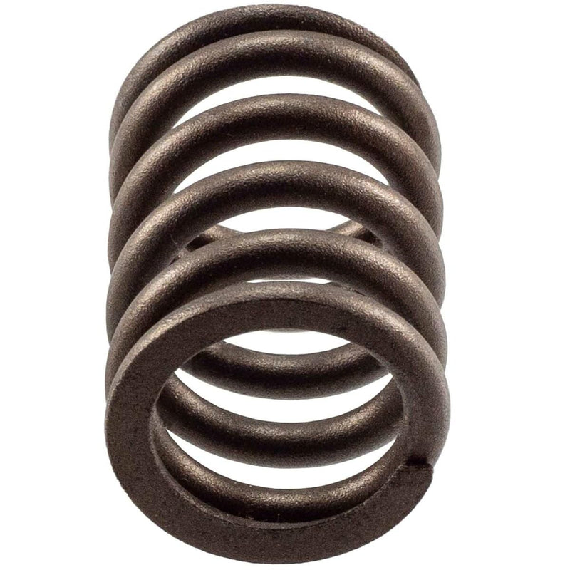 Engine Valve Spring Melling VS-1070