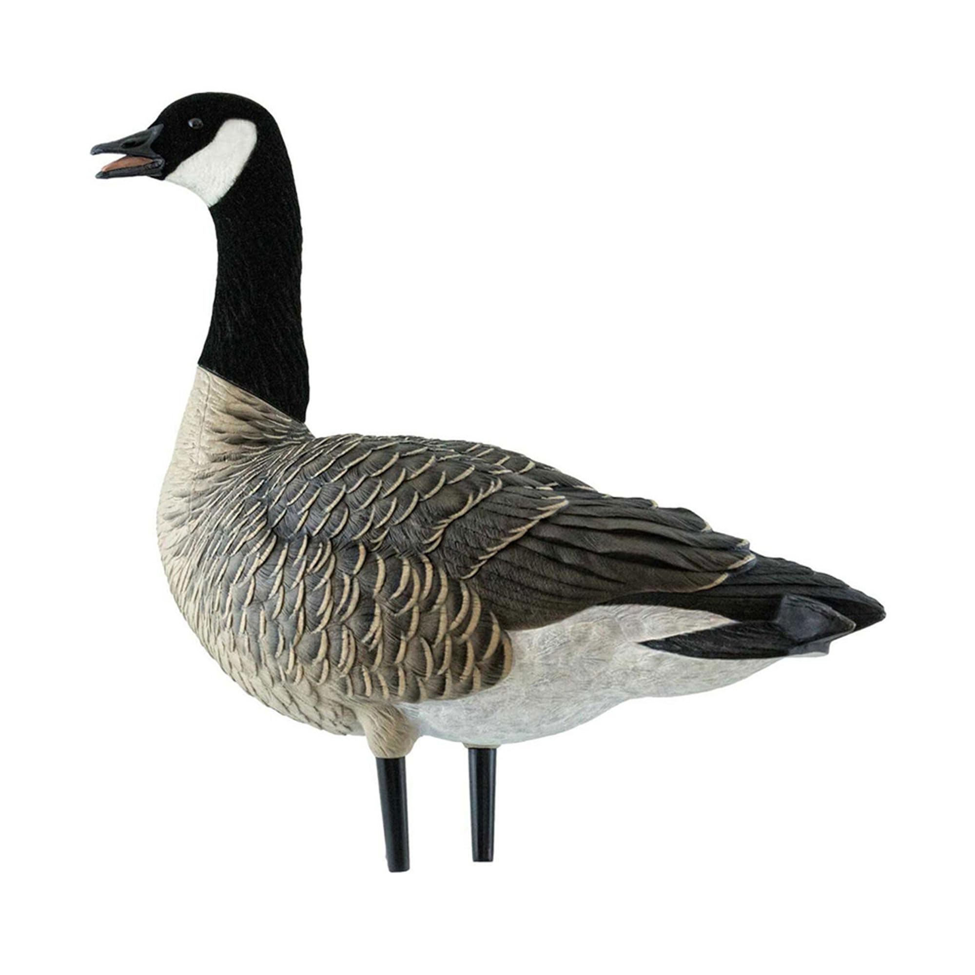 AXF Avian X Lessers Full Body Goose Hunting Decoys with12 Slot Bag, Rugged Durability, & Full Body Equipment for Decoys & Hunting Purposes, 12 Pack