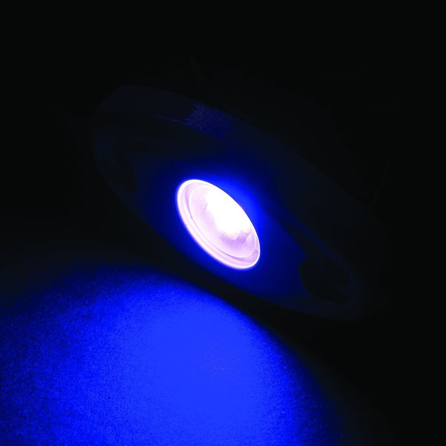 T-H Marine Oval High Intensity Courtesy (Rock) Light - Black Housing - Blue LED